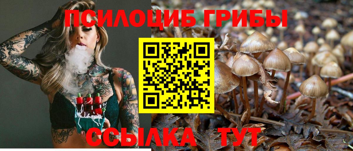 Псилоцибиновые грибы Magic Shrooms  Вход с VPN  Новочеркасск 